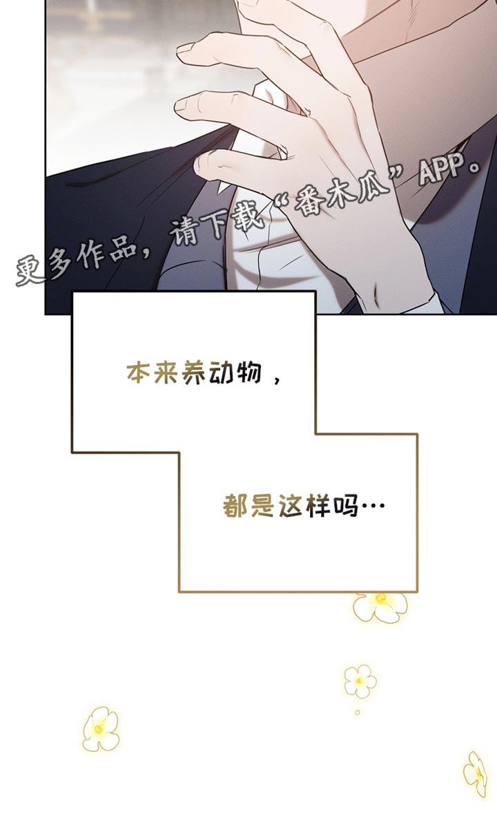 白鸟奇遇记漫画下拉式漫画,第87章：【第二季】我全都很好奇1图