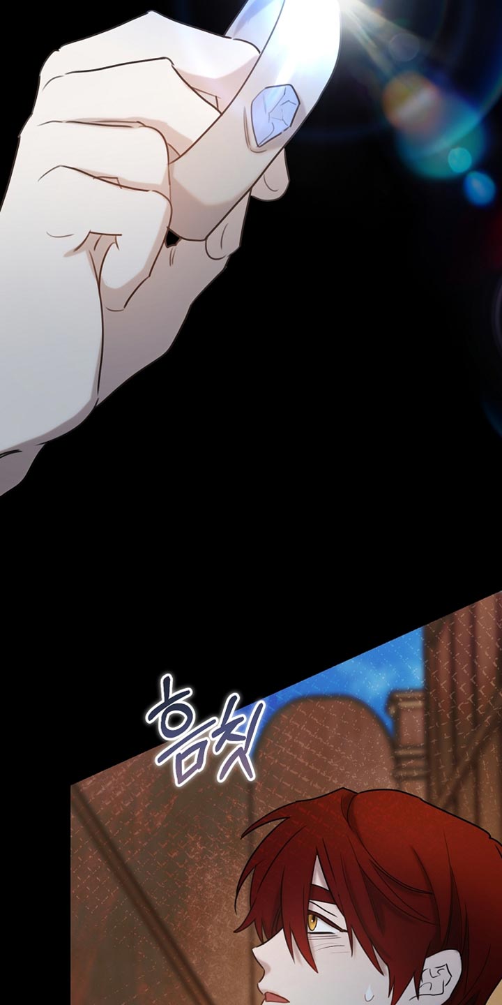 白鸟奇遇记漫画,第113章：【第二季】改变了他的世界3图