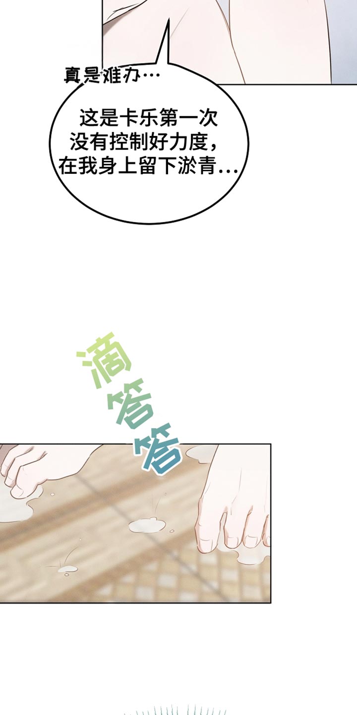 白鸟奇遇记漫画,第86章：【第二季】我管得太多了1图