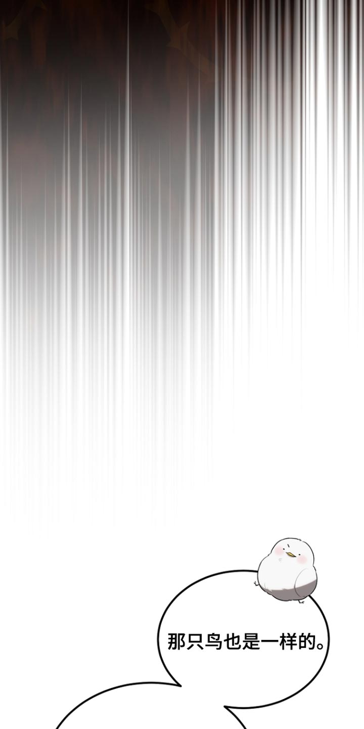 白鸟头发怎么获得漫画,第77章：回避（第一季完结）1图