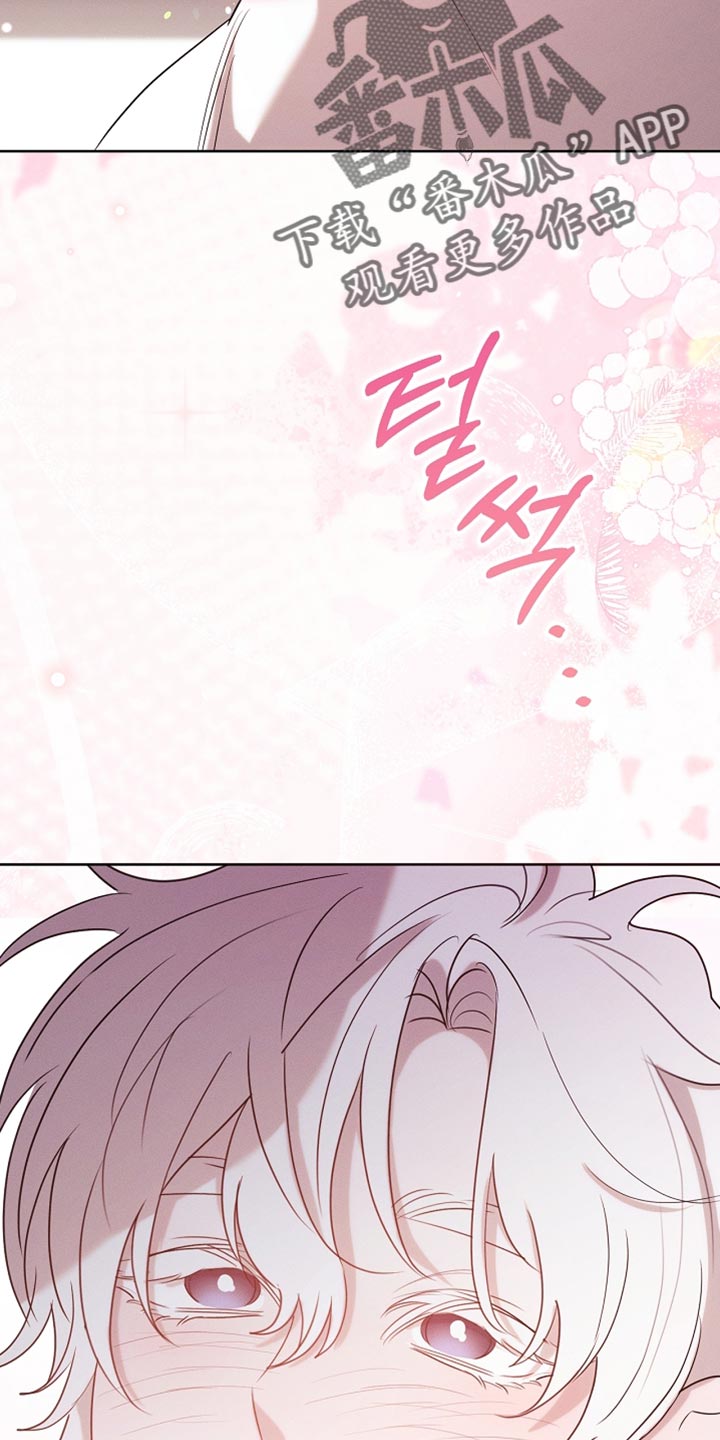 白鸟奇遇记漫画,第101章：【第二季】一起享受5图