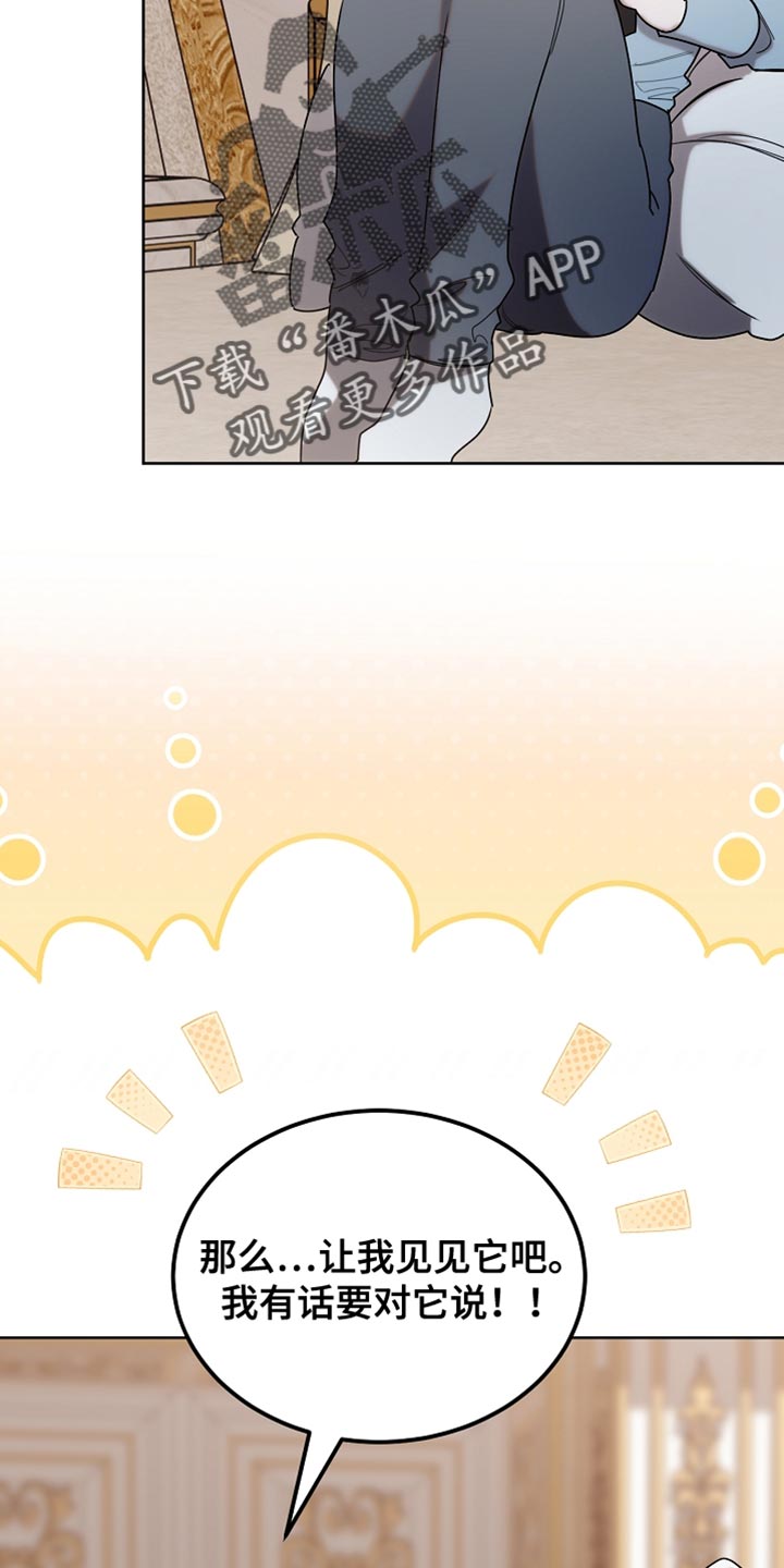 白鸟奇遇记第1季漫画,第97章：【第二季】平静的生活1图