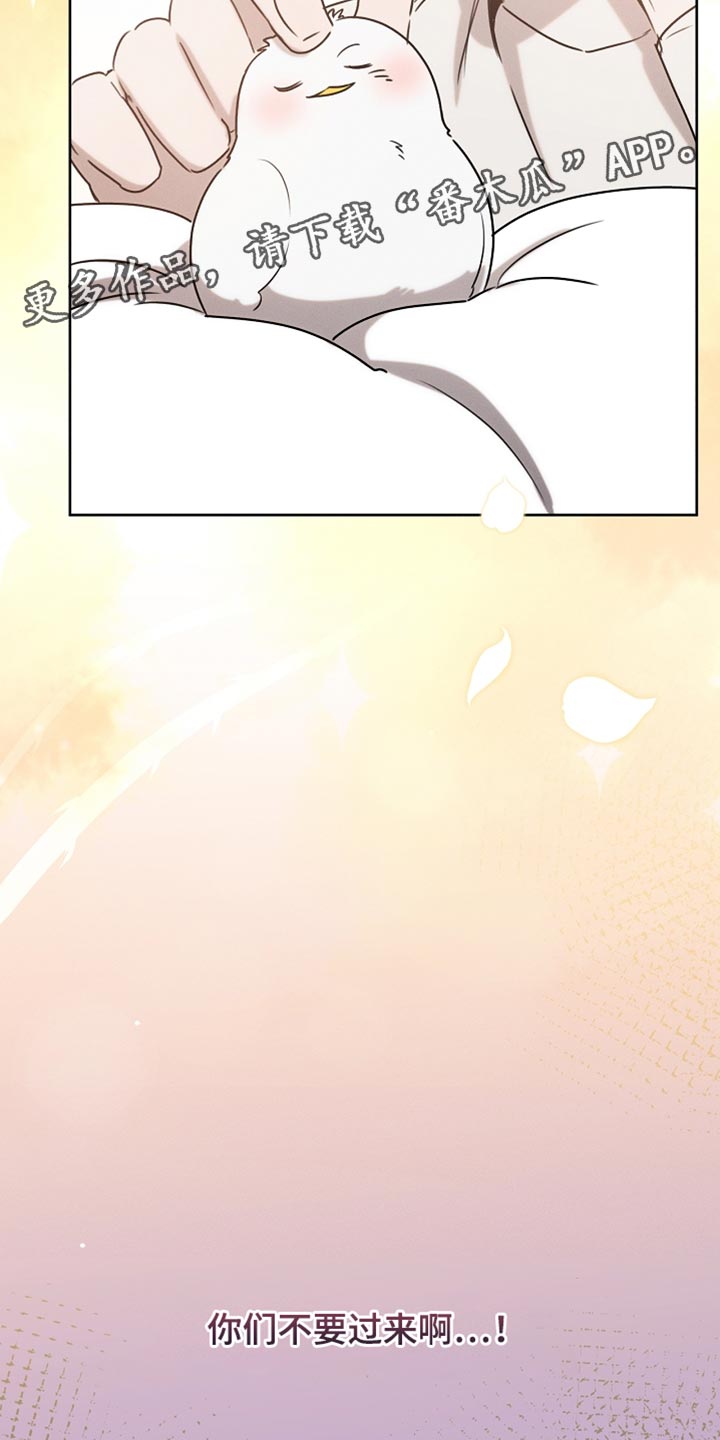 白鸟奇遇记全集完整版解说漫画,第93章：【第二季】不要过来啊3图