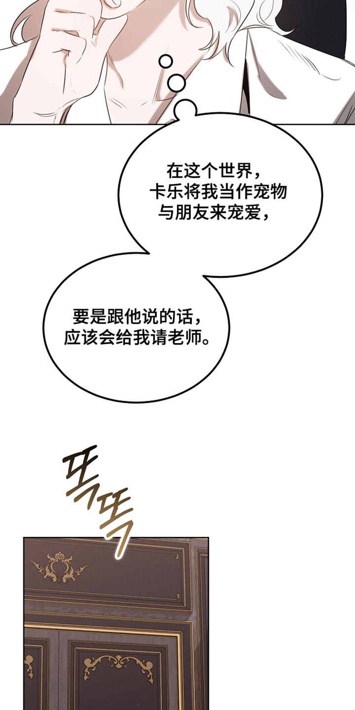 白鸟奇遇记漫画,第92章：【第二季】打赌1图