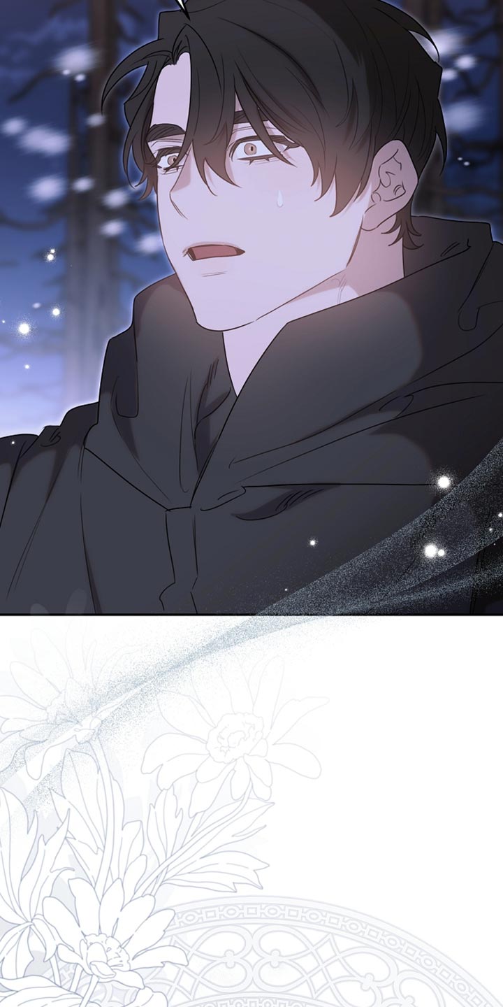 白鸟座漫画,第110章：【第二季】我是不是来得太迟了4图