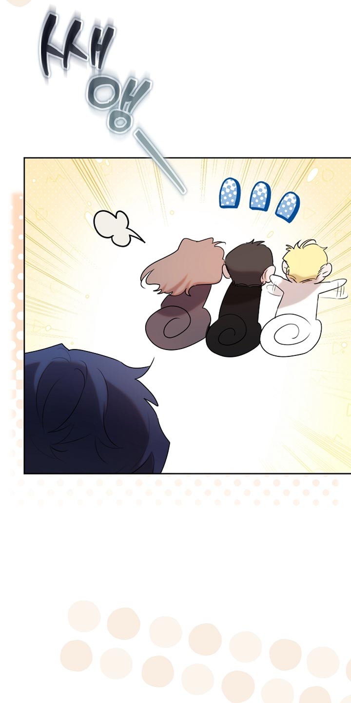 白鸟奇遇记漫画全集漫画,第95章：【第二季】跟我一起走吧4图