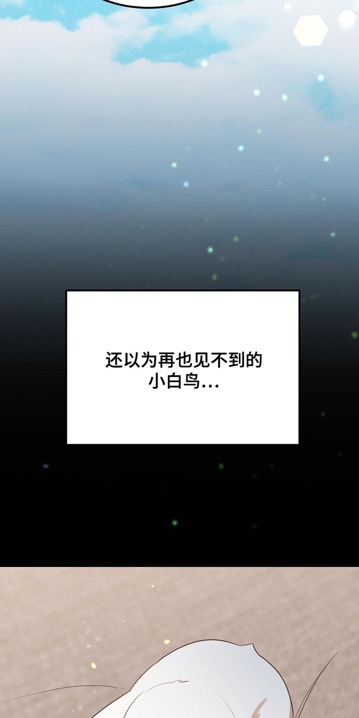 《白鸟奇遇记》简介漫画,第99章：【第二季】他正在担心我5图