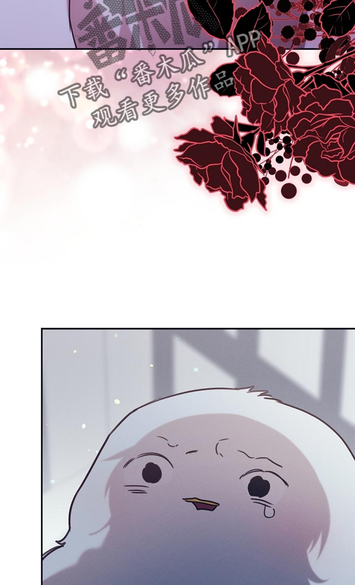 白鸟奇遇记漫画又名叫什么漫画,第109章：【第二季】仇人5图