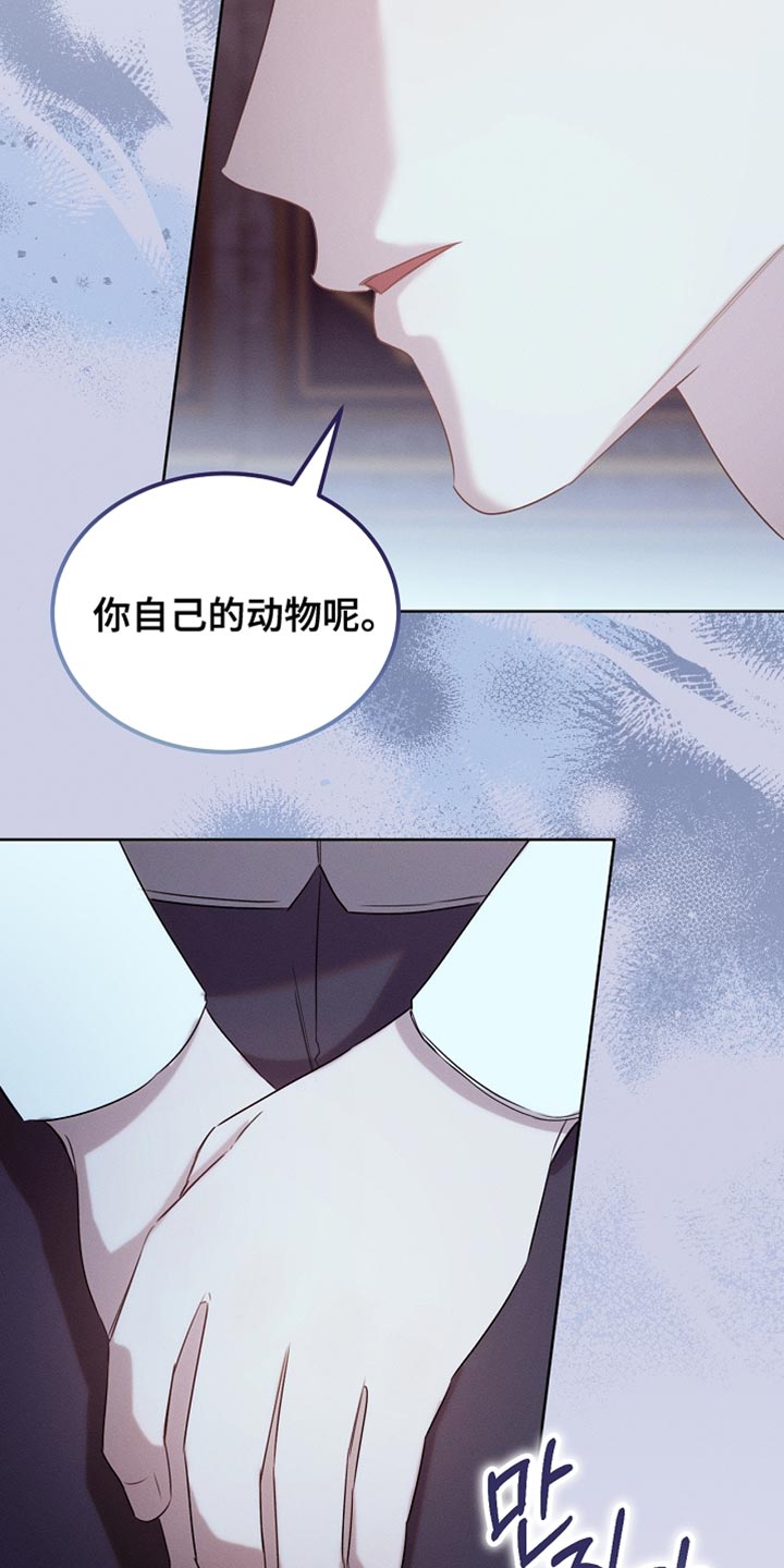 白鸟奇遇记漫画,第92章：【第二季】打赌2图