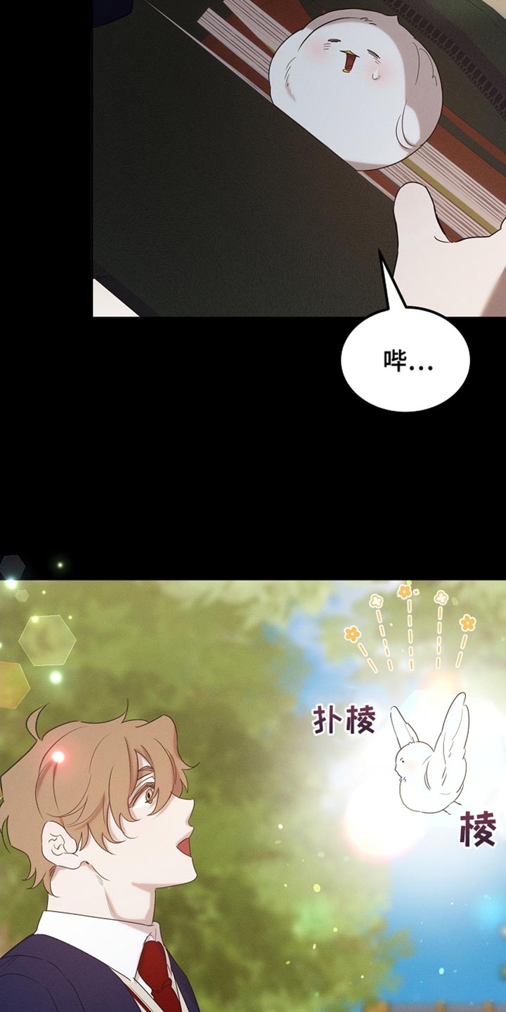 《白鸟奇遇记》简介漫画,第99章：【第二季】他正在担心我5图