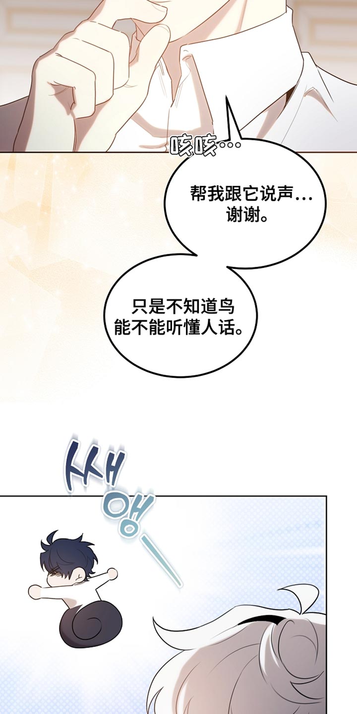 白鸟奇遇记第1季漫画,第97章：【第二季】平静的生活4图