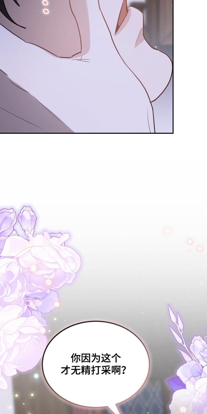 白鸟奇遇记漫画全集漫画,第106章：【第二季】你已经尽力了5图