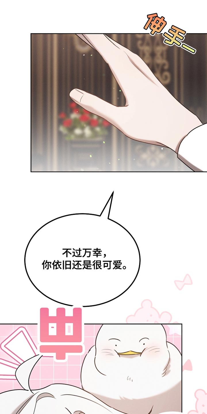 白鸟奇遇记6漫画,第91章：【第二季】你依旧很可爱4图