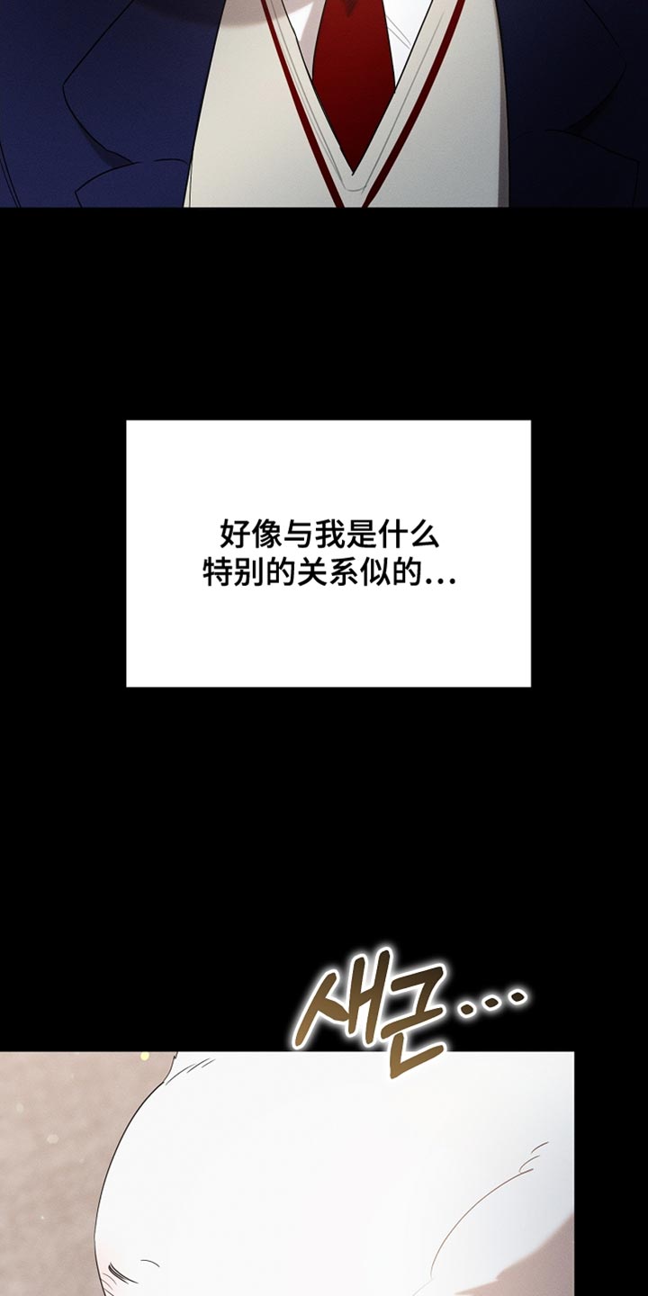《白鸟奇遇记》简介漫画,第99章：【第二季】他正在担心我3图