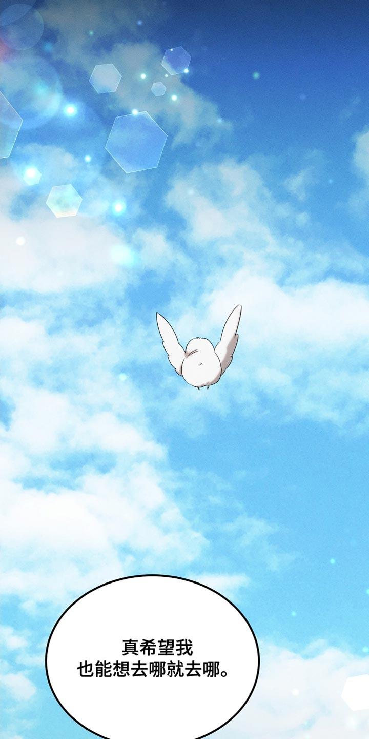 《白鸟奇遇记》简介漫画,第99章：【第二季】他正在担心我4图