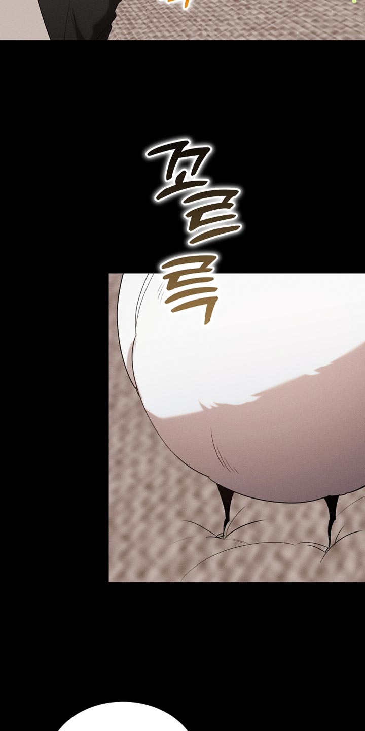 《白鸟奇遇记》简介漫画,第99章：【第二季】他正在担心我3图