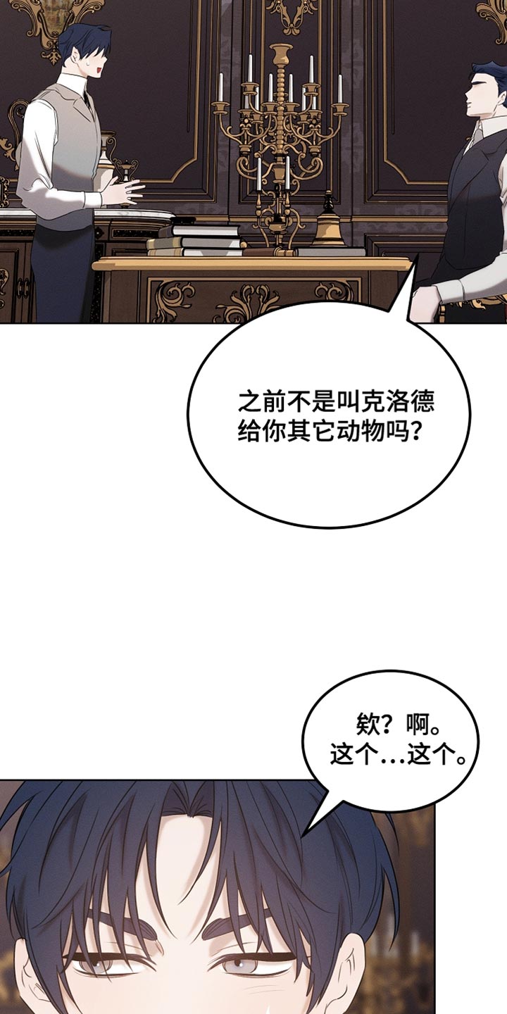 白鸟奇遇记漫画,第92章：【第二季】打赌5图