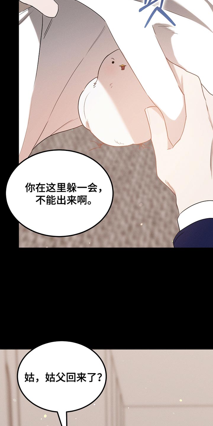 《白鸟奇遇记》简介漫画,第99章：【第二季】他正在担心我3图