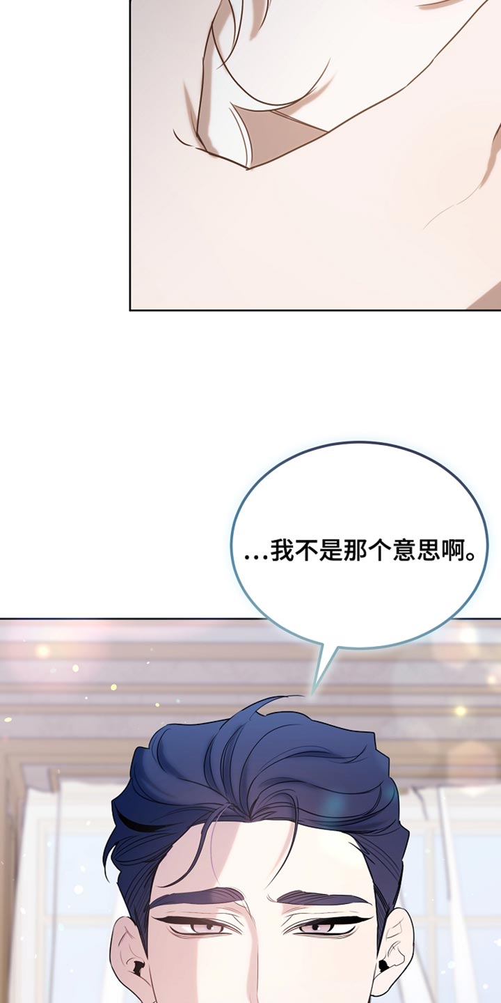 白鸟奇遇记6漫画,第97章：【第二季】平静的生活2图