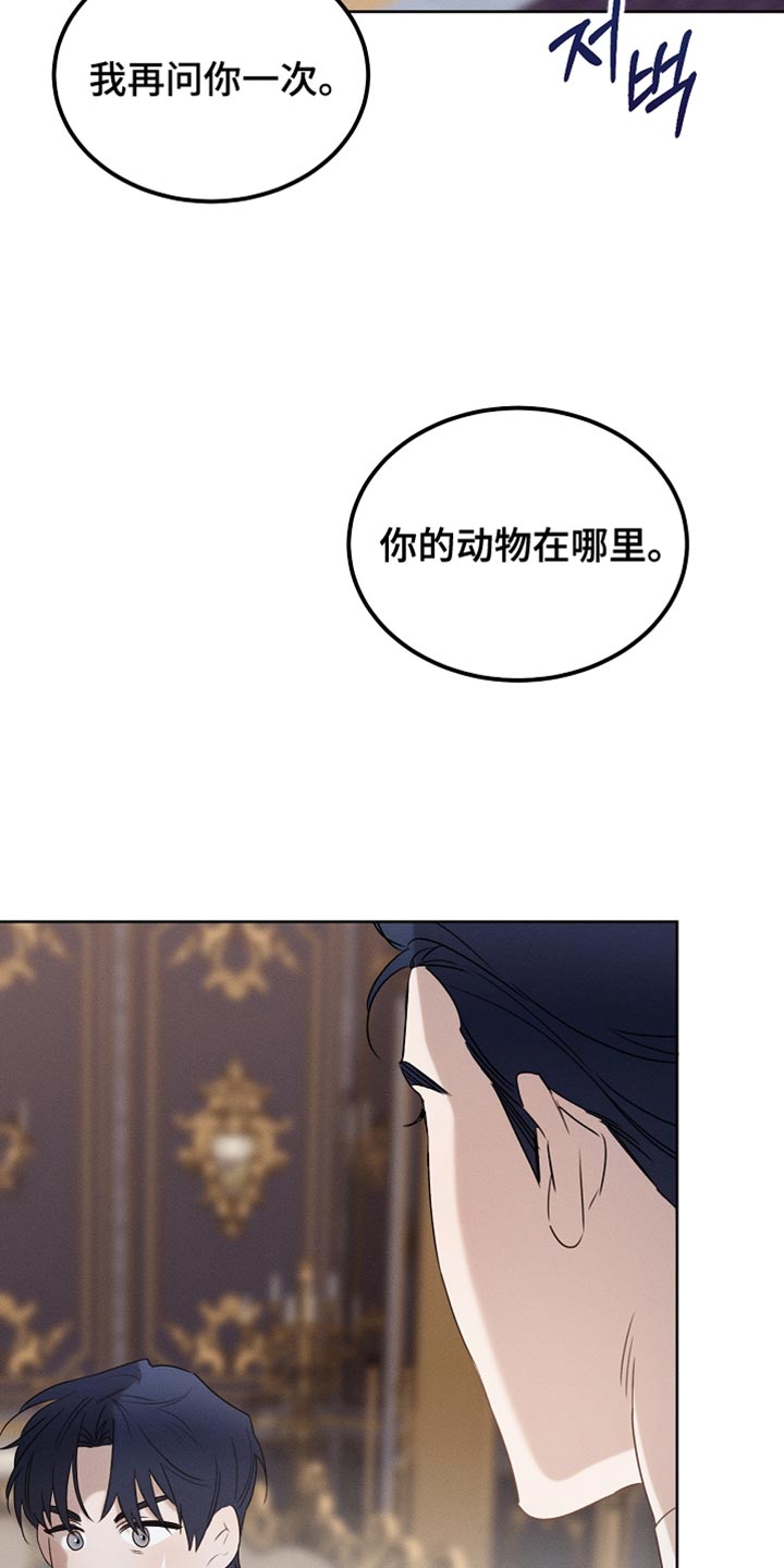 白鸟奇遇记1至200集漫画,第92章：【第二季】打赌1图