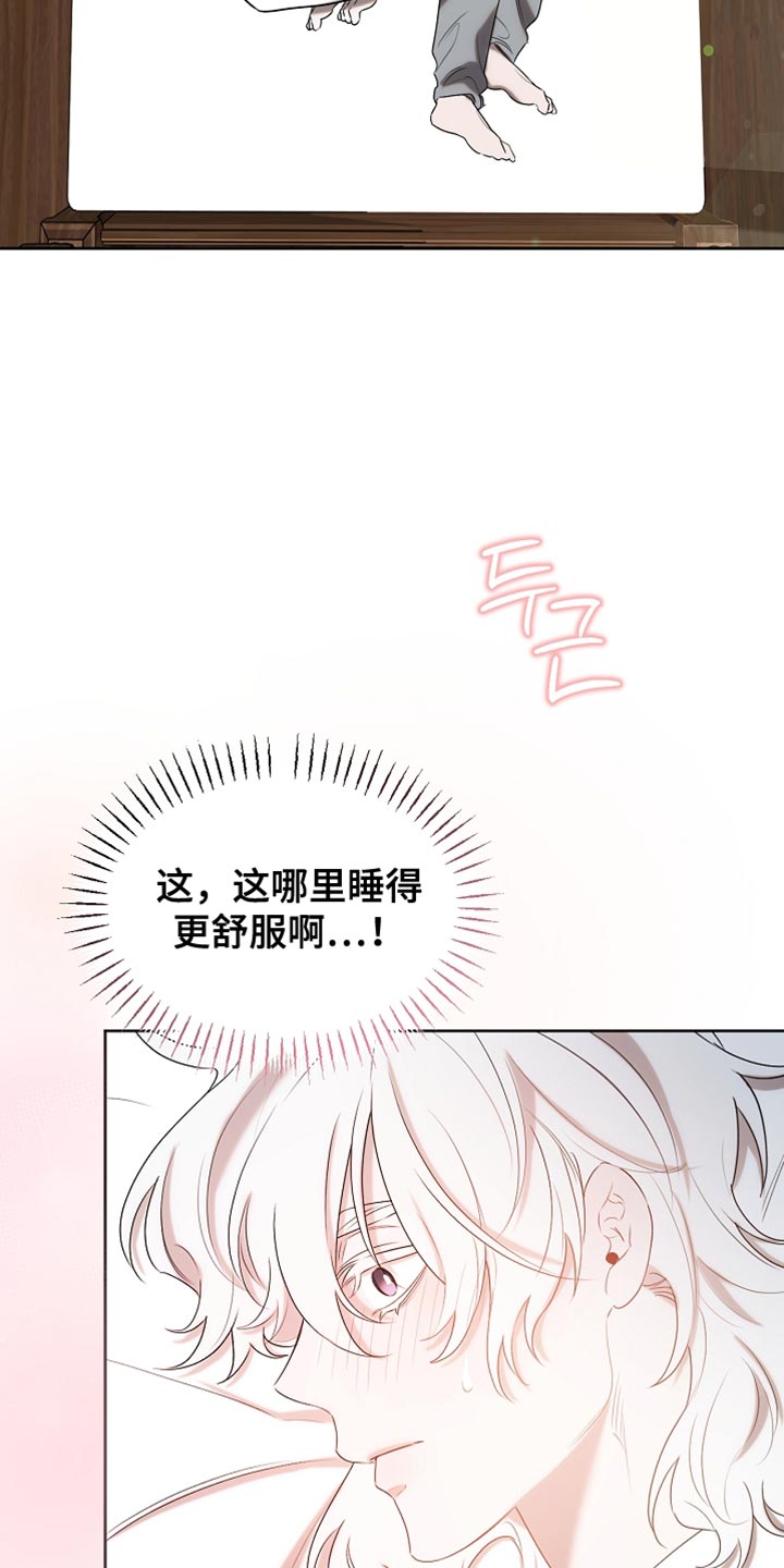 白鸟奇遇记漫画,第100章：【第二季】做个好梦5图