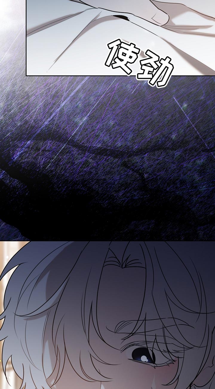 《白鸟奇遇记》简介漫画,第97章：【第二季】平静的生活1图