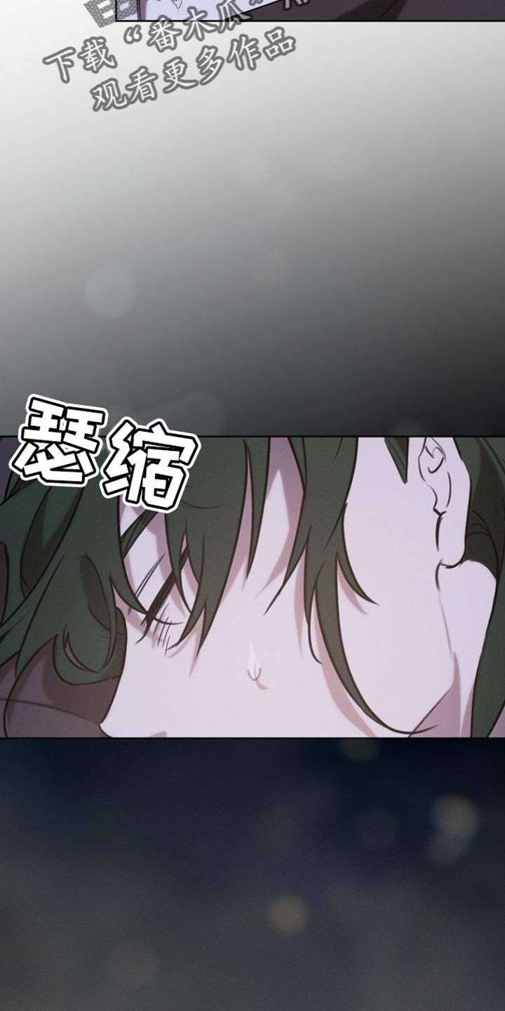 白鸟红酒漫画,第78章：【第二季】我该确认一下3图