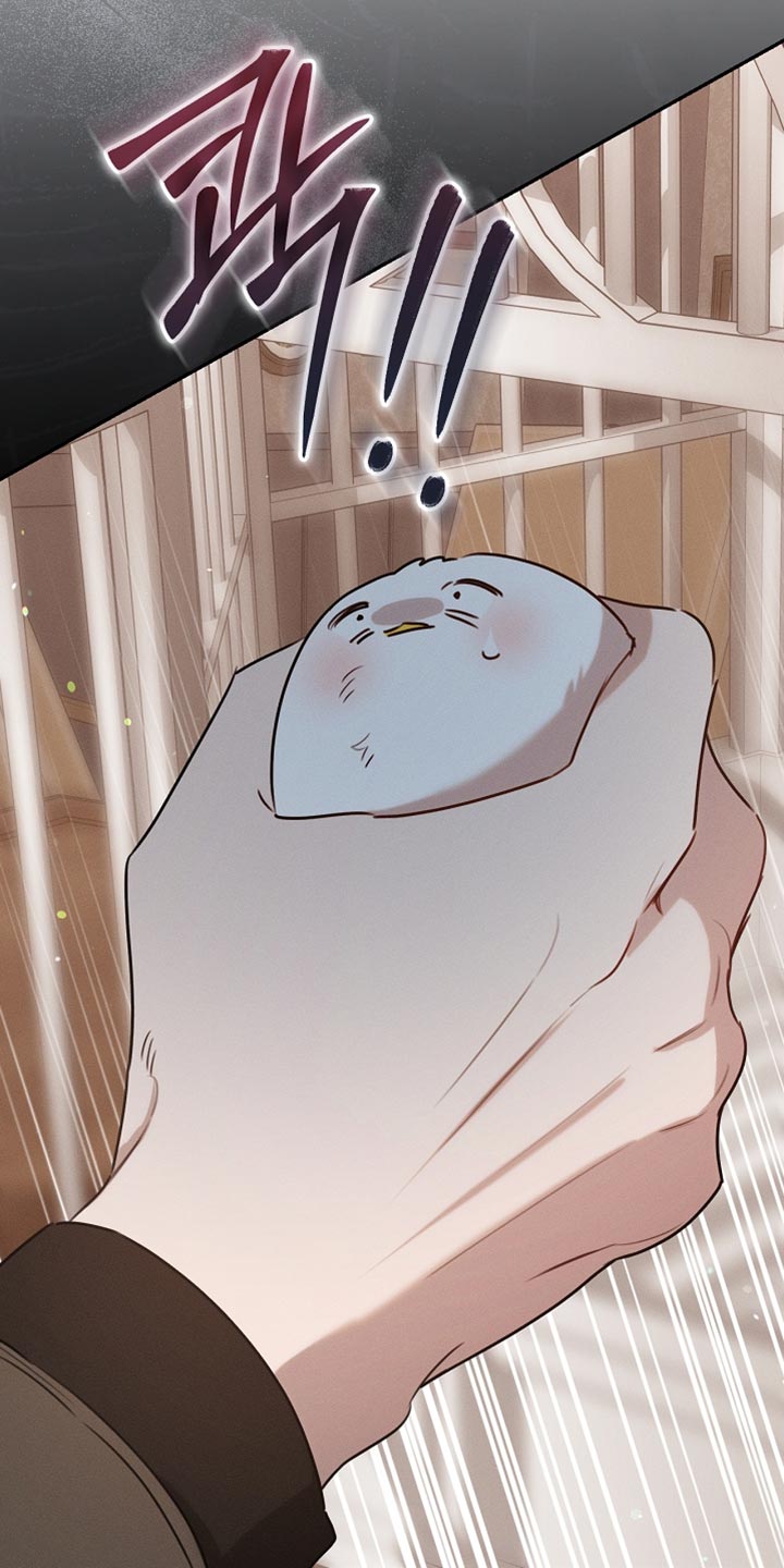 白鸟奇遇记漫画全集漫画,第108章：【第二季】被绑架了！2图