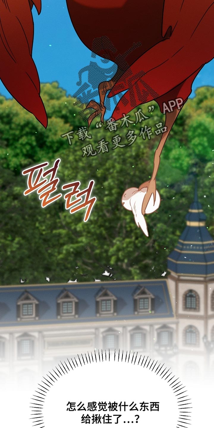 白鸟奇遇记6漫画,第107章：【第二季】被抓住了2图