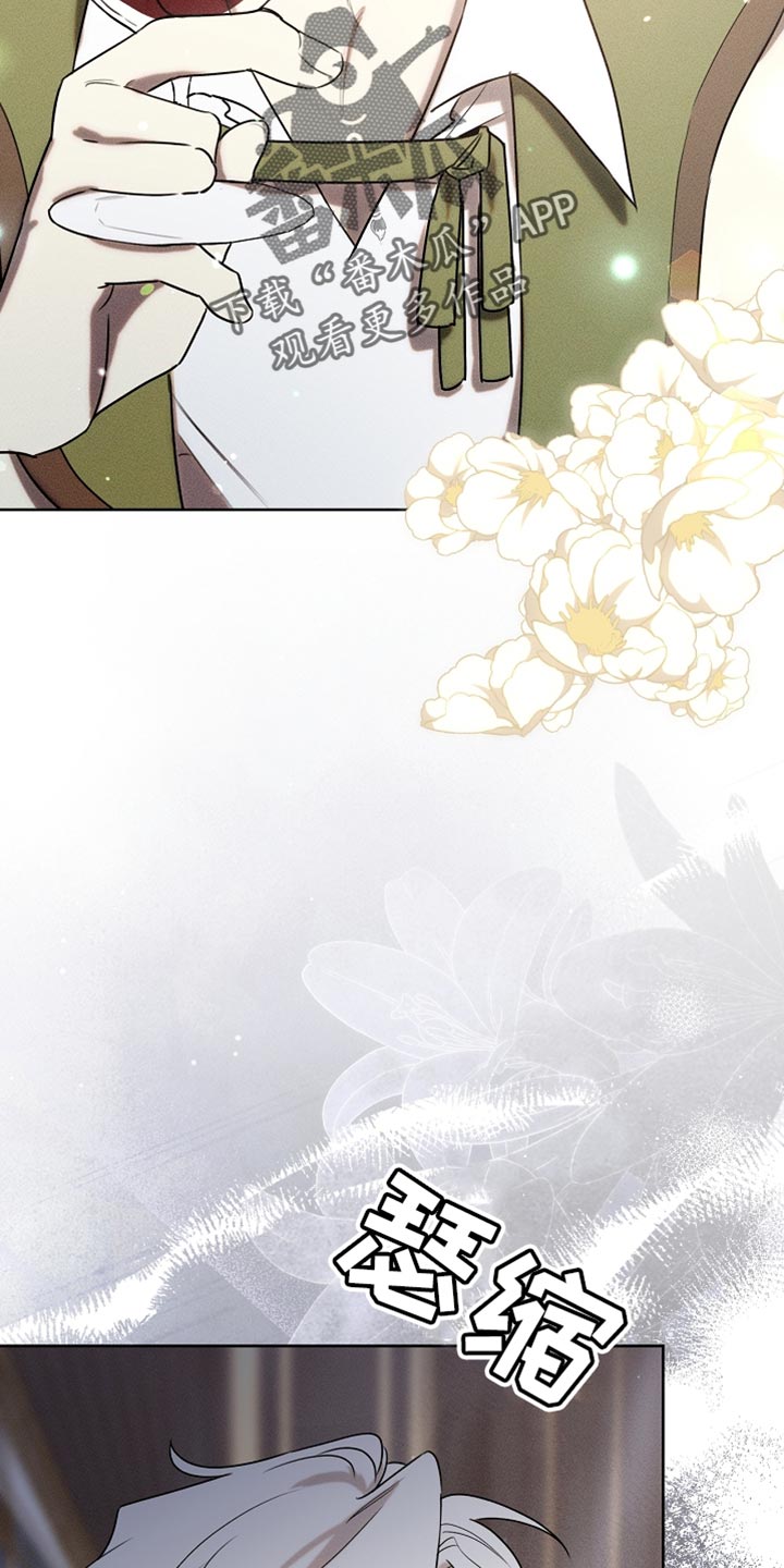 白鸟奇遇记6漫画,第89章：【第二季】有恋人吗？3图