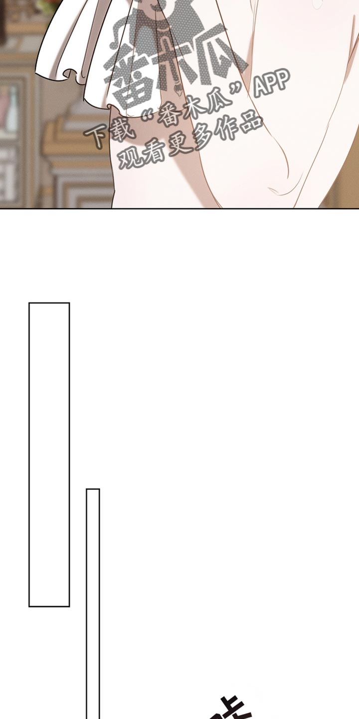 白鸟奇遇记漫画,第86章：【第二季】我管得太多了3图