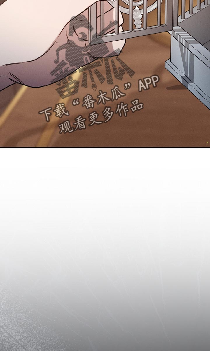 白鸟奇遇记漫画全集漫画,第108章：【第二季】被绑架了！1图