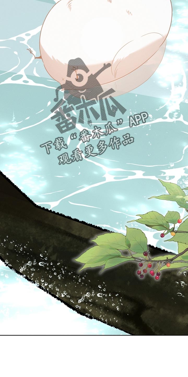 白鸟奇遇记漫画全集漫画,第104章：【第二季】在变一次鸟儿吗？2图