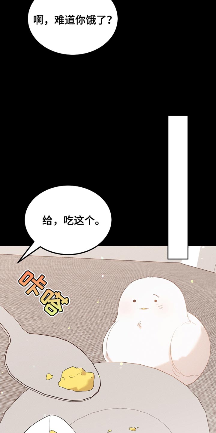 《白鸟奇遇记》简介漫画,第99章：【第二季】他正在担心我4图