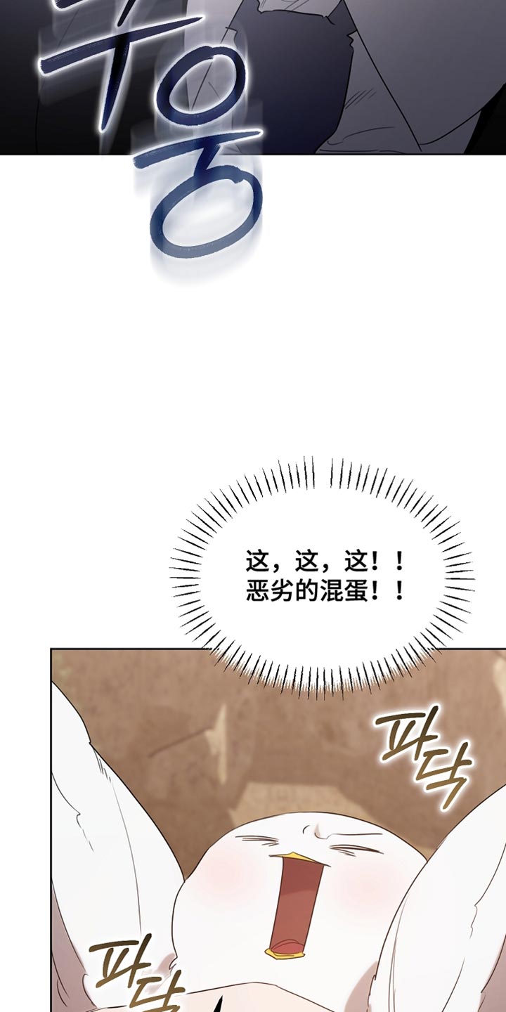 白鸟奇遇记漫画,第94章：【第二季】绑起来2图