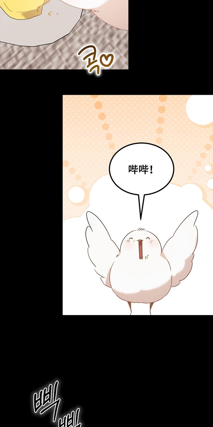 《白鸟奇遇记》简介漫画,第99章：【第二季】他正在担心我1图