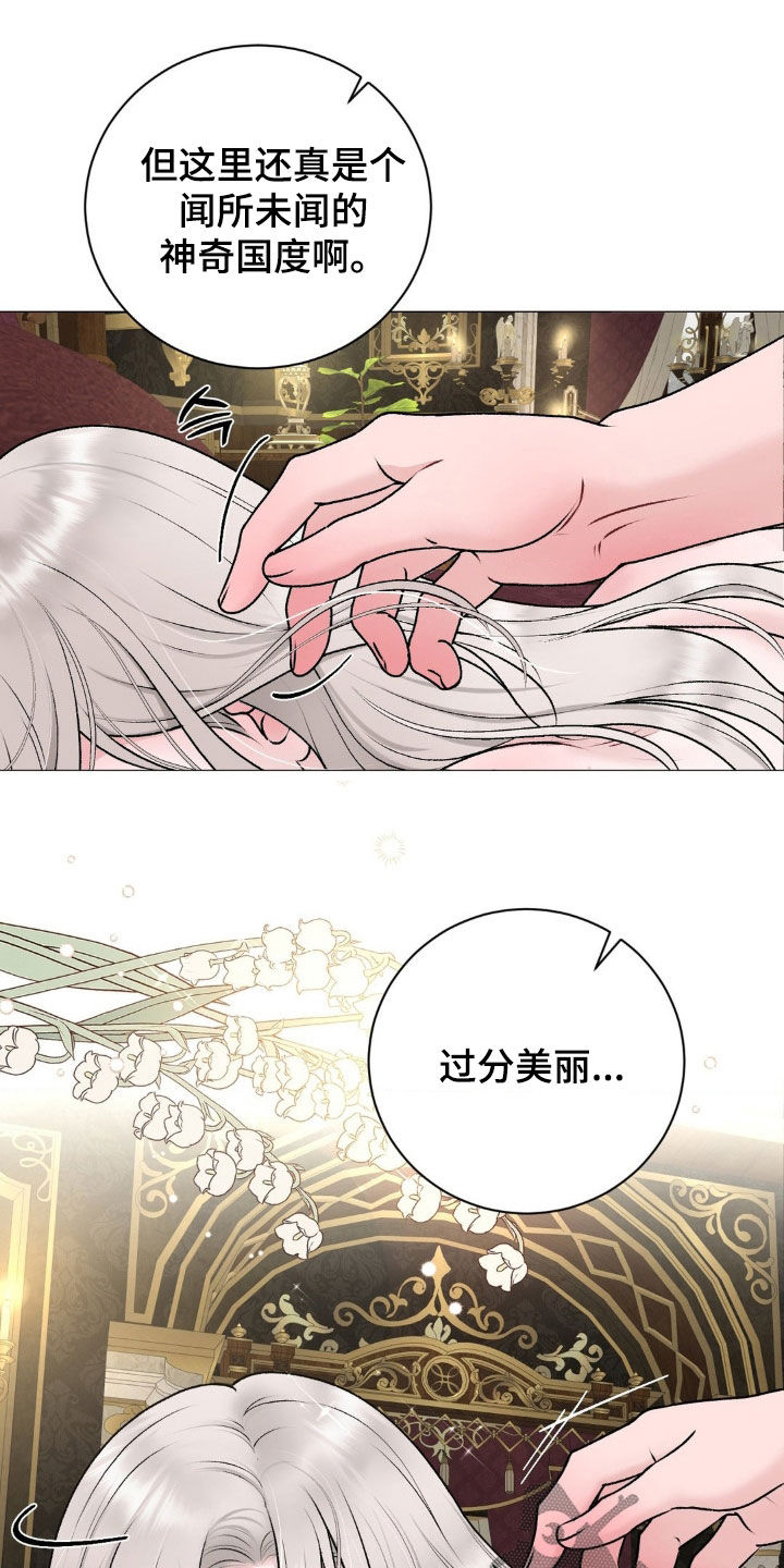 特殊商品漫画全集漫画,第67章：【番外】治疗皇子2图