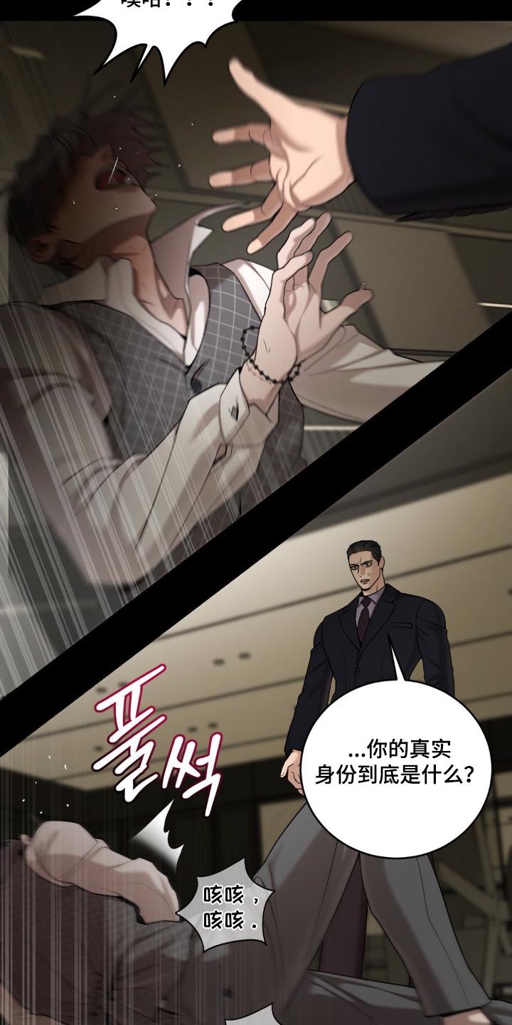 点燃的是香烟燃烧的是生命漫画,第13章：你是什么身份5图