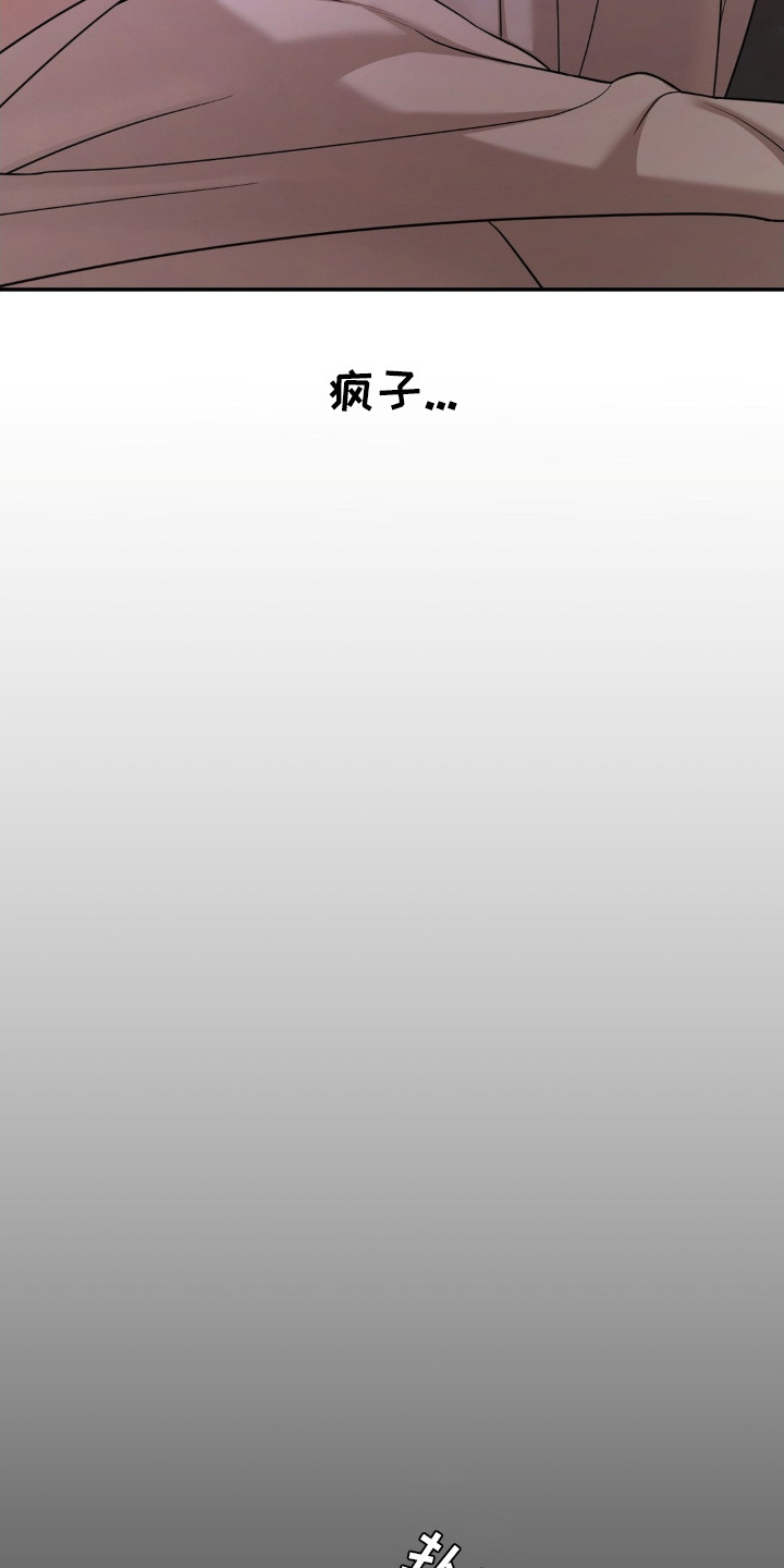 点燃的是香烟燃烧的是生命漫画,第12章：疯子5图