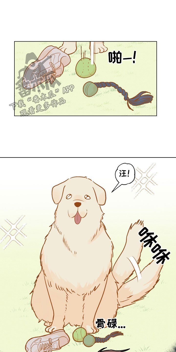 祝你好运漫画,第11章：崎岖2图