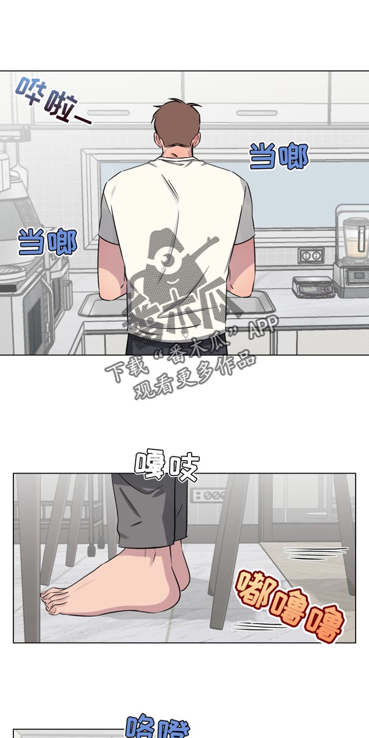 祝你好运漫画,第47章：谁的电话？1图
