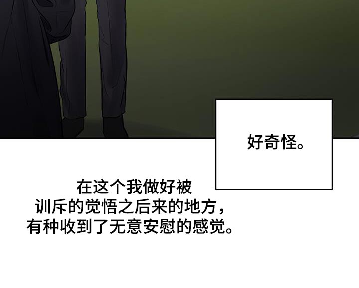 周六野漫画,第33章：请吃饭3图