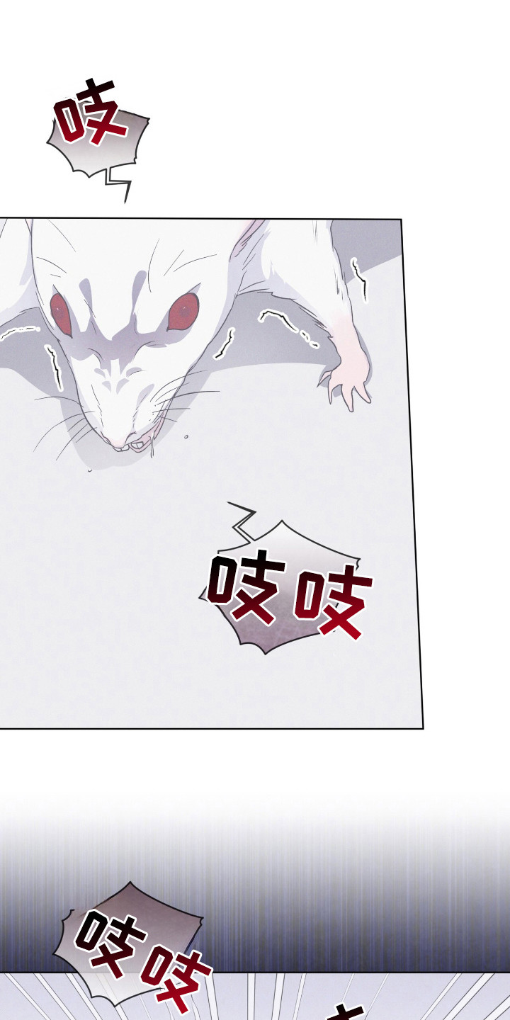 彩虹城在哪里漫画,第110章：【第二季】阳性1图