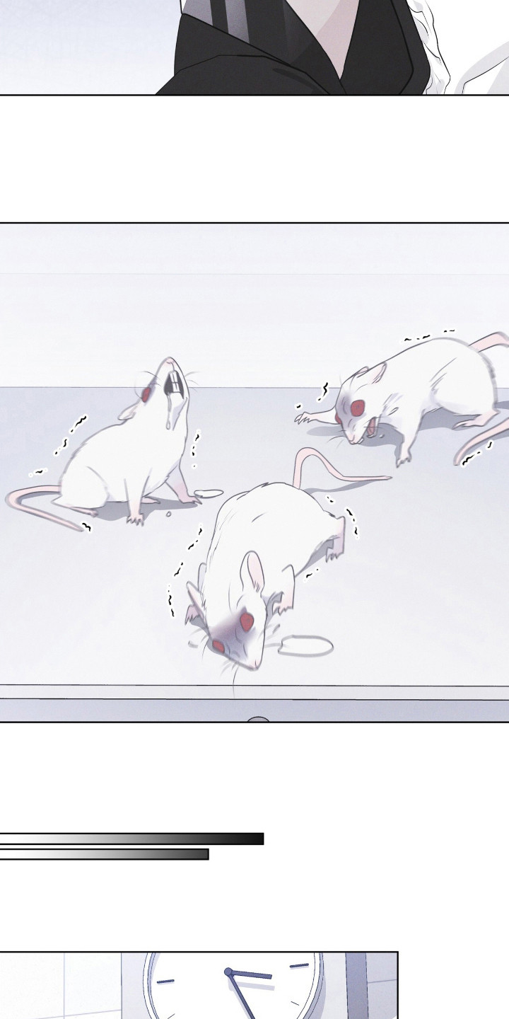 彩虹城在哪里漫画,第110章：【第二季】阳性4图