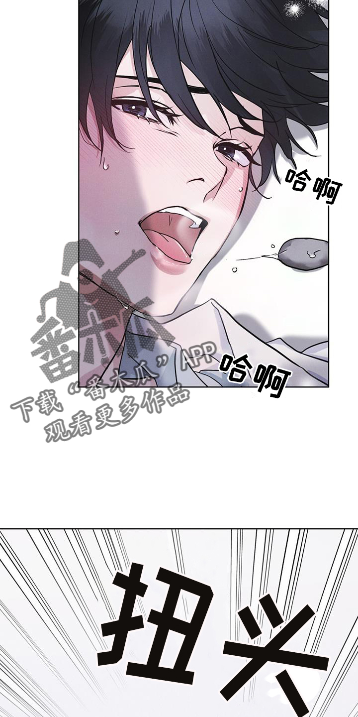 彩虹城小区一号楼凶杀案漫画,第65章：查询3图