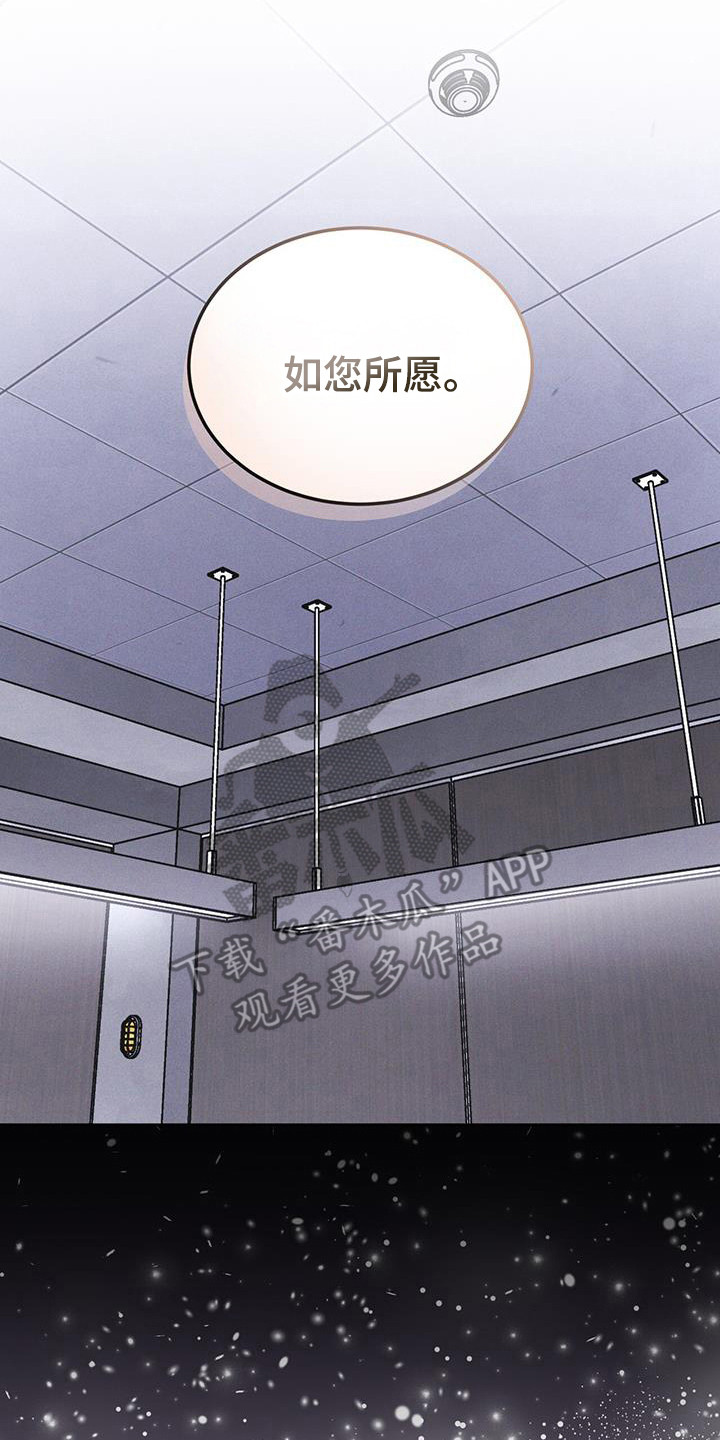 彩虹城在哪里漫画,第104章：【第二季】如您所愿5图