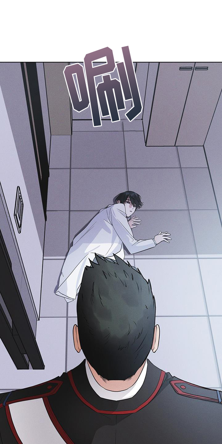 彩虹城小区一号楼凶杀案漫画,第67章：带走3图