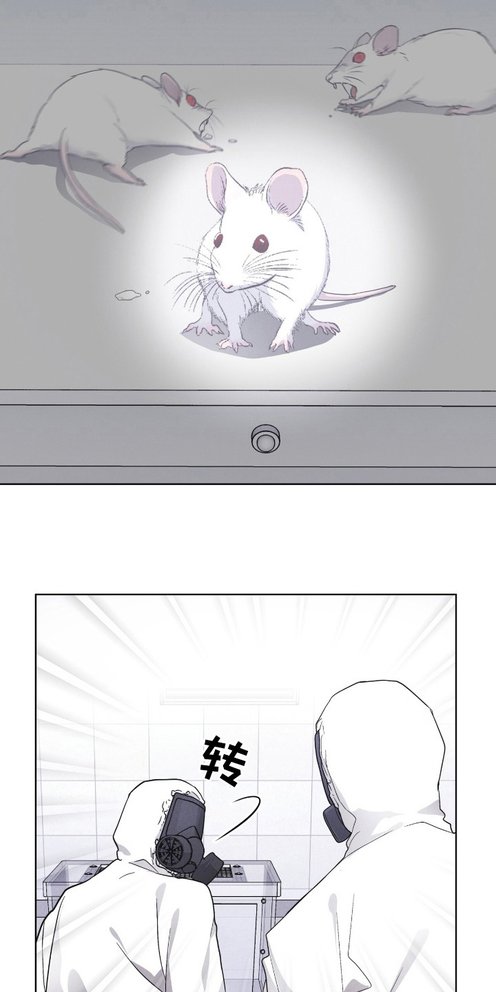 彩虹城在哪里漫画,第110章：【第二季】阳性1图