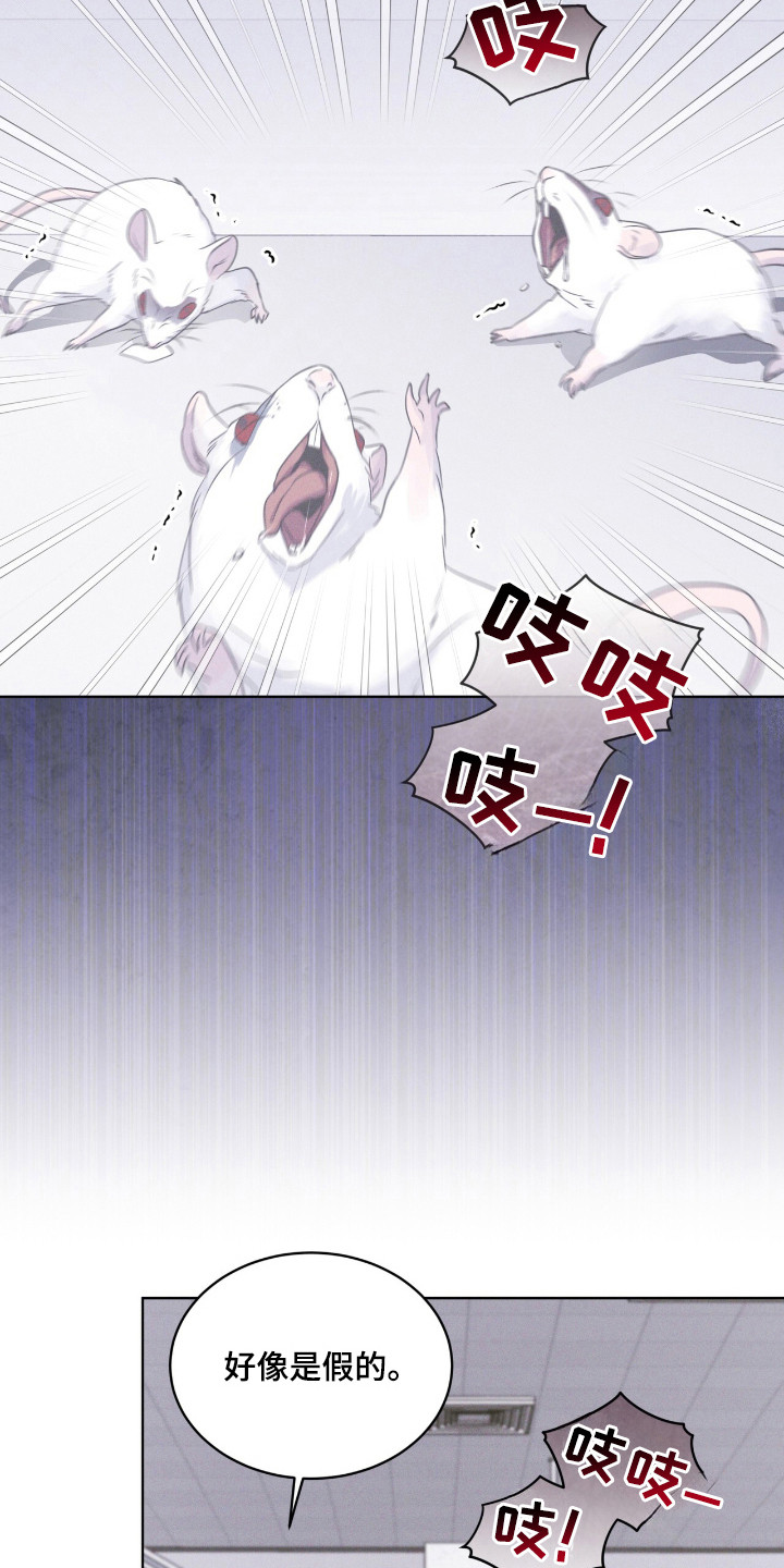 彩虹城在哪里漫画,第110章：【第二季】阳性2图