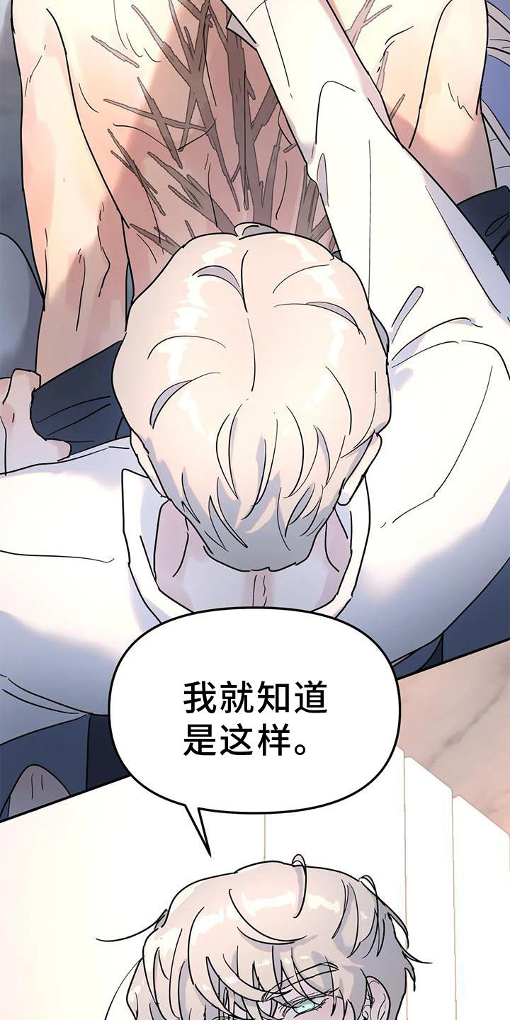 无根之树漫画,第28章：果然1图